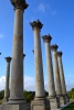 Capitol columns, National Arboretum